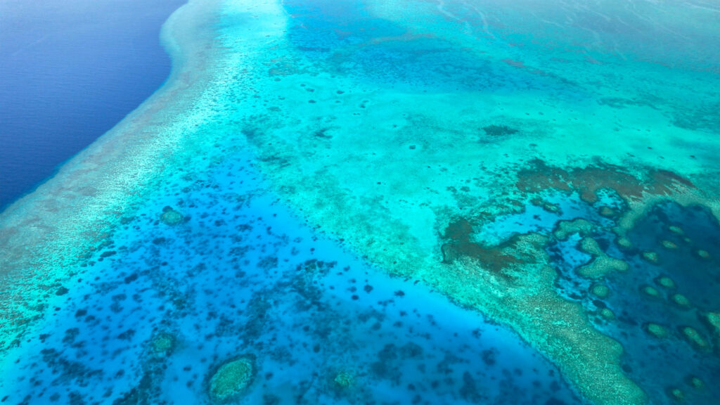 Apo Reef, The Philippines