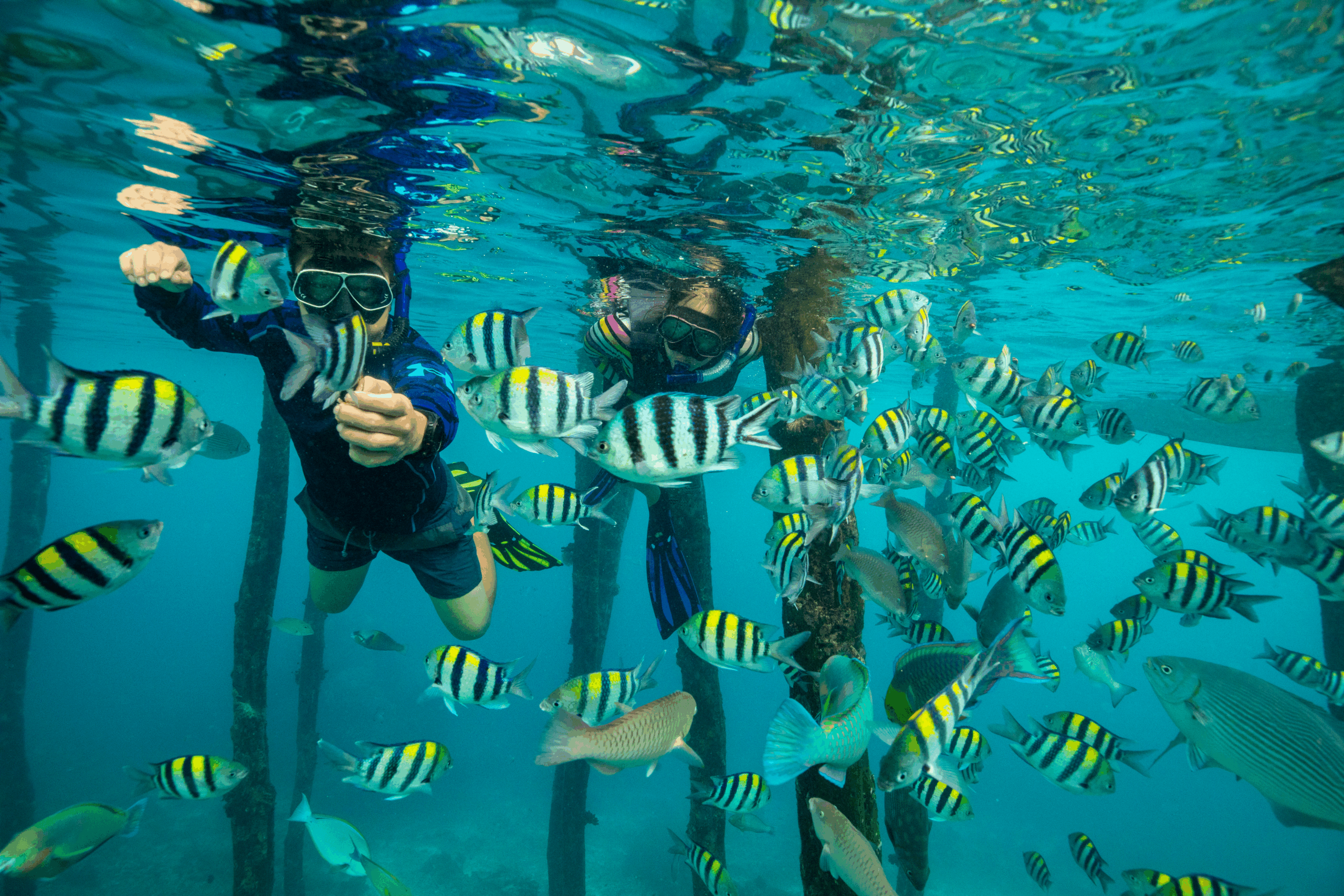 The Revamp of Snorkelling