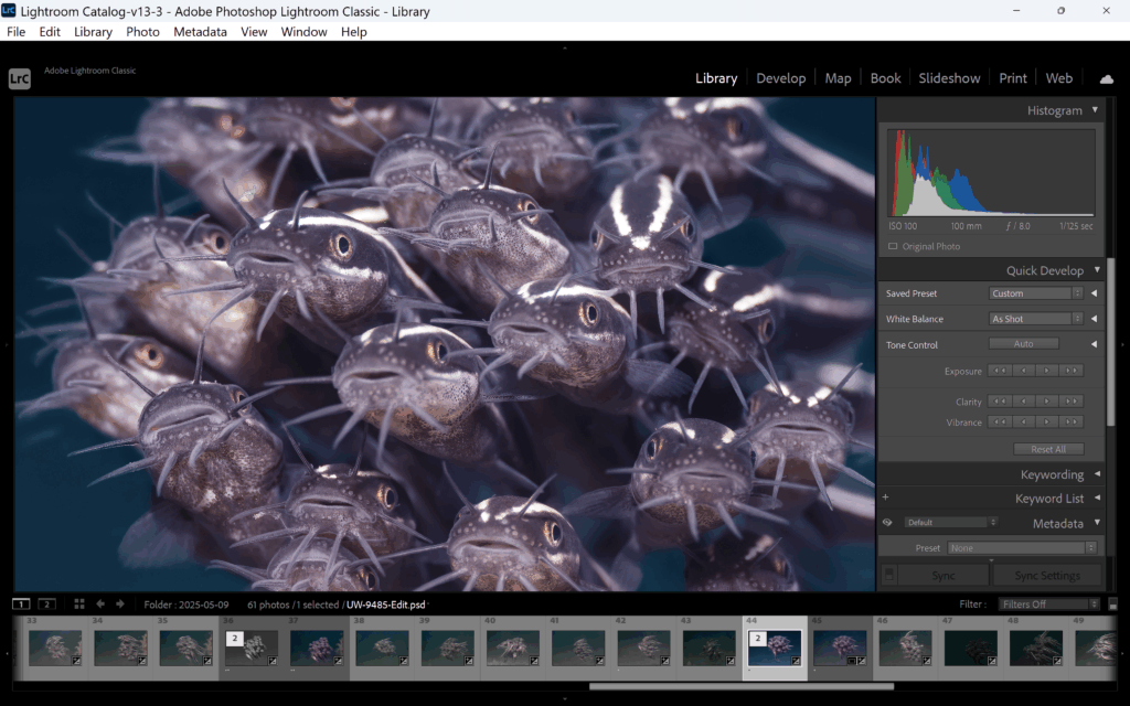 Annas workflow (2)