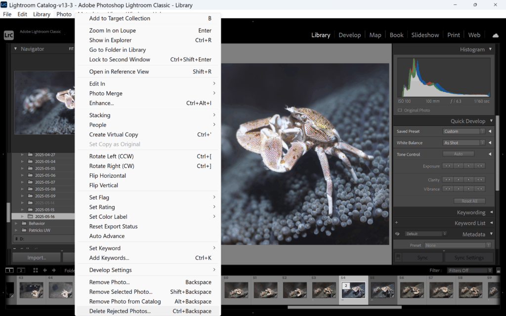 Annas workflow (3)
