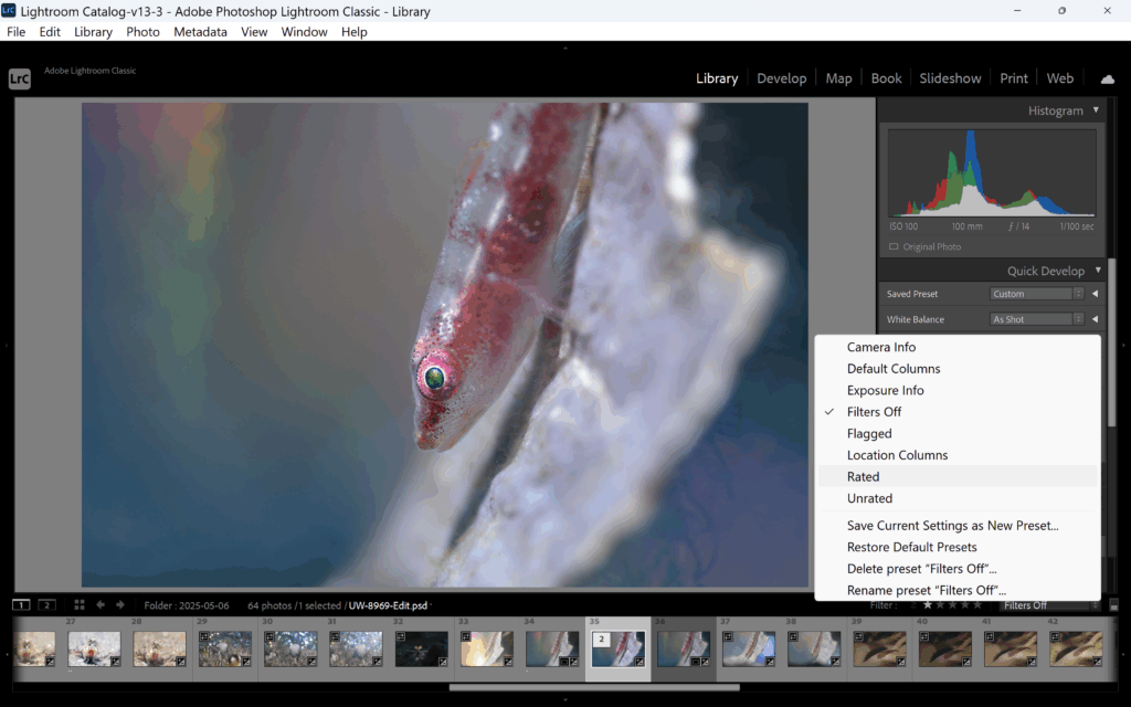 Annas workflow (4)