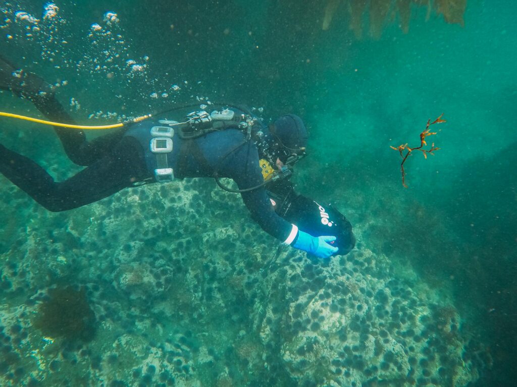 Commercial divers