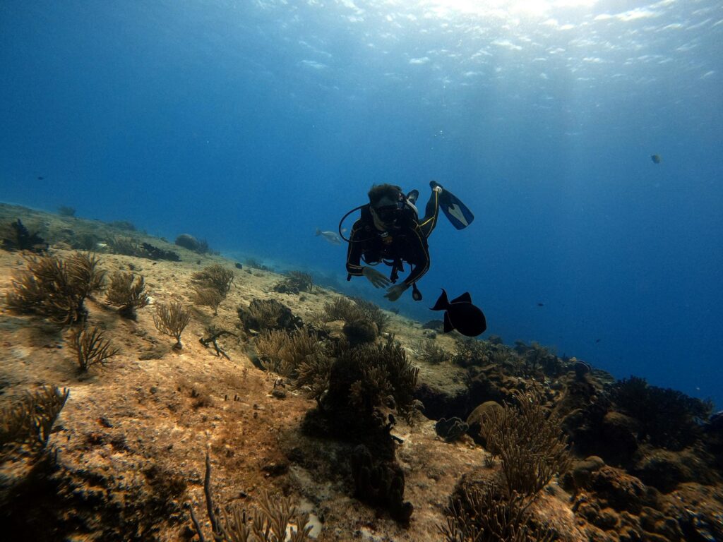 Cozumel dive, mexico