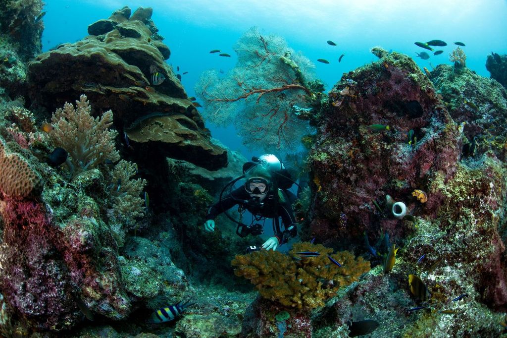 Scientific diving