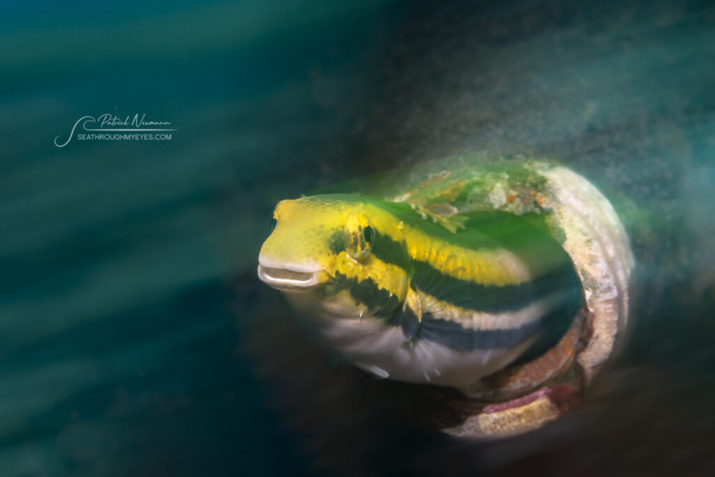 Slow Shutter