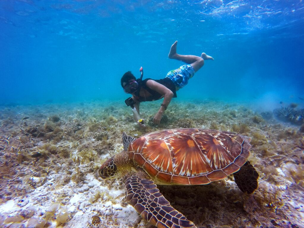 Snorkeling