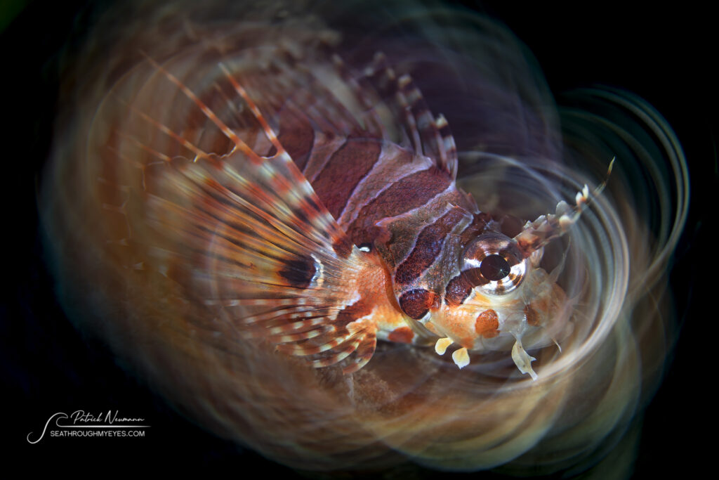 Swirl Filter Effect