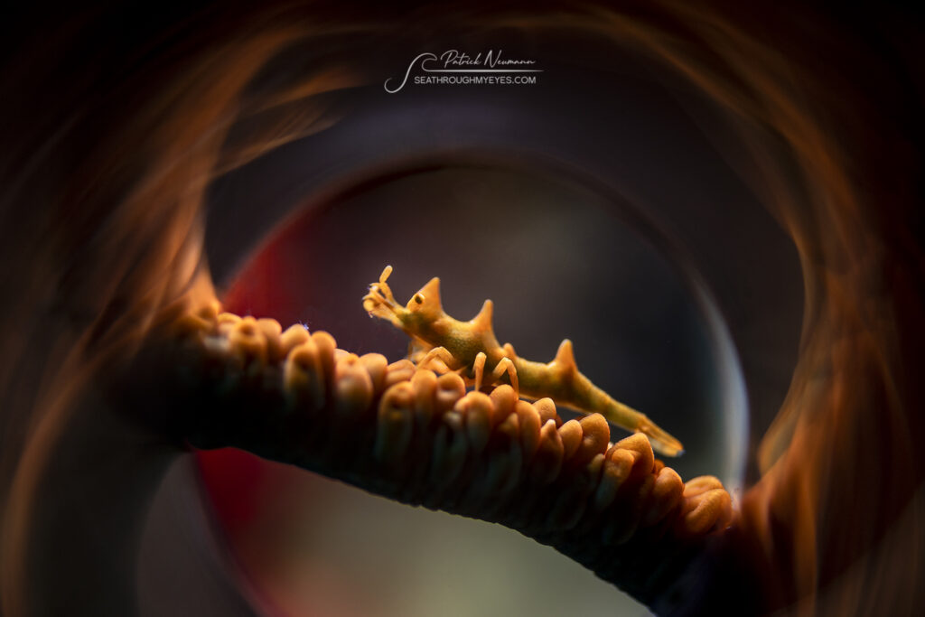 Magic Tube Effect