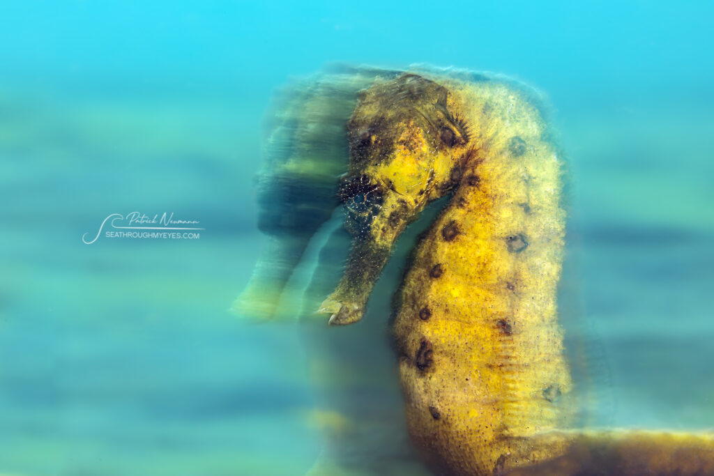Slow Shutter