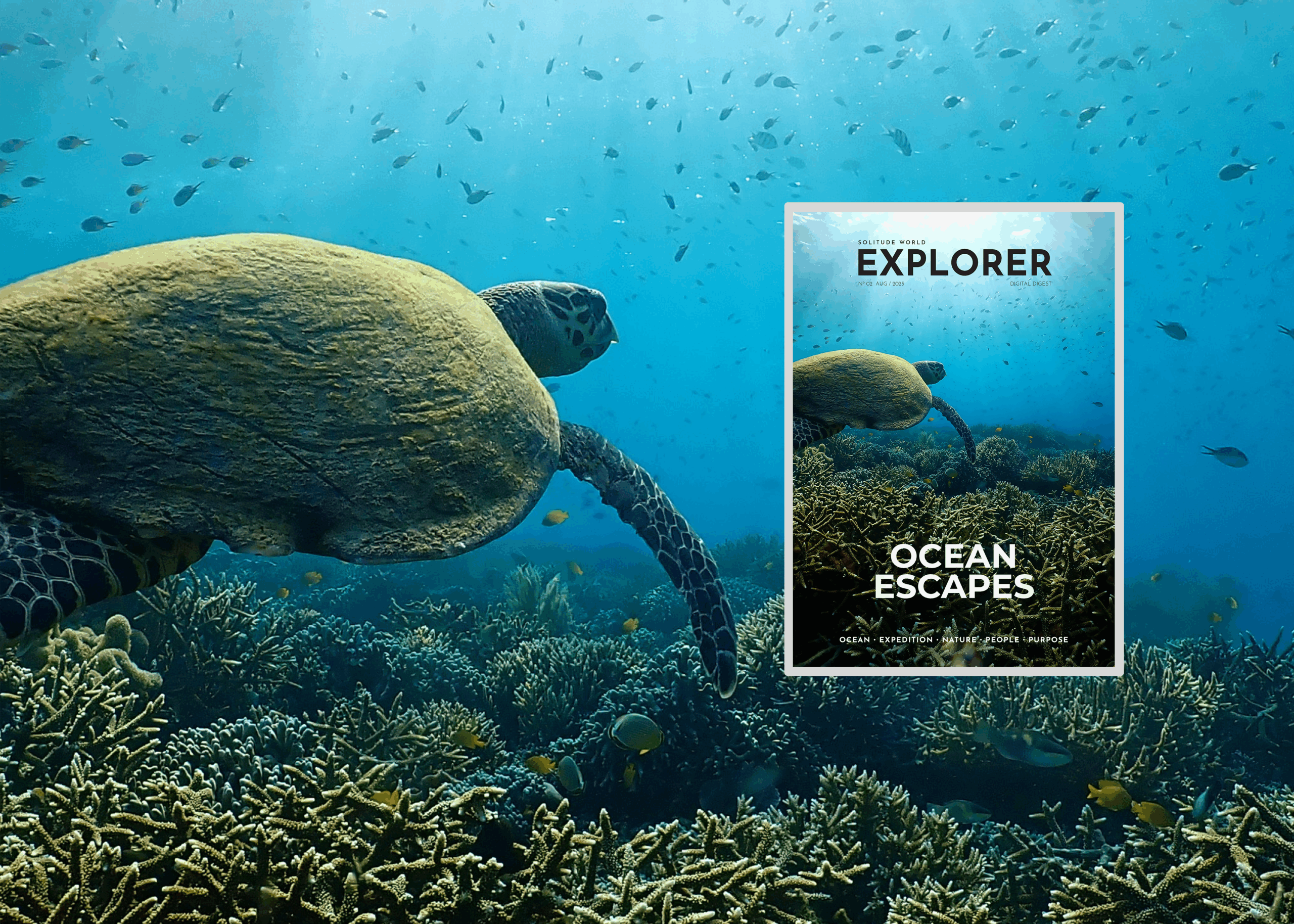 Ocean Escapes Issue 2 SW Explorer Digital Digest
