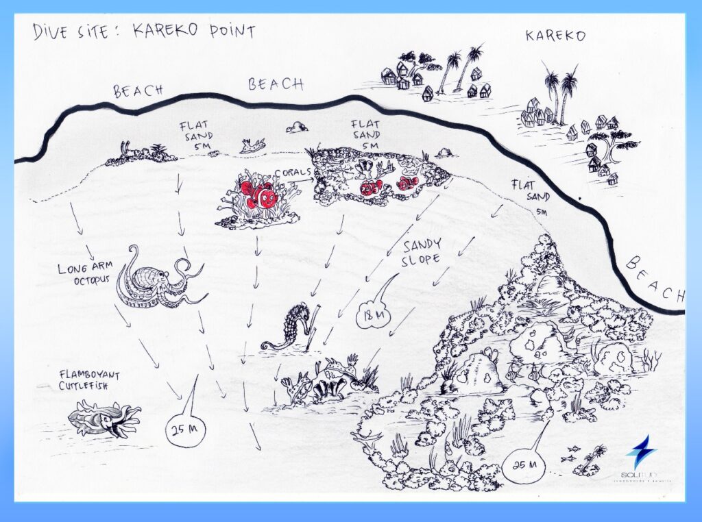 Kareko point