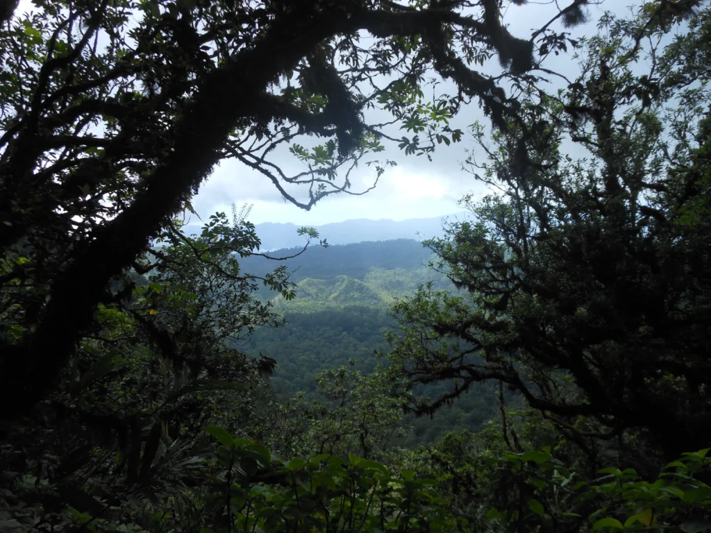 Tomohon bunaken tangkoko 292