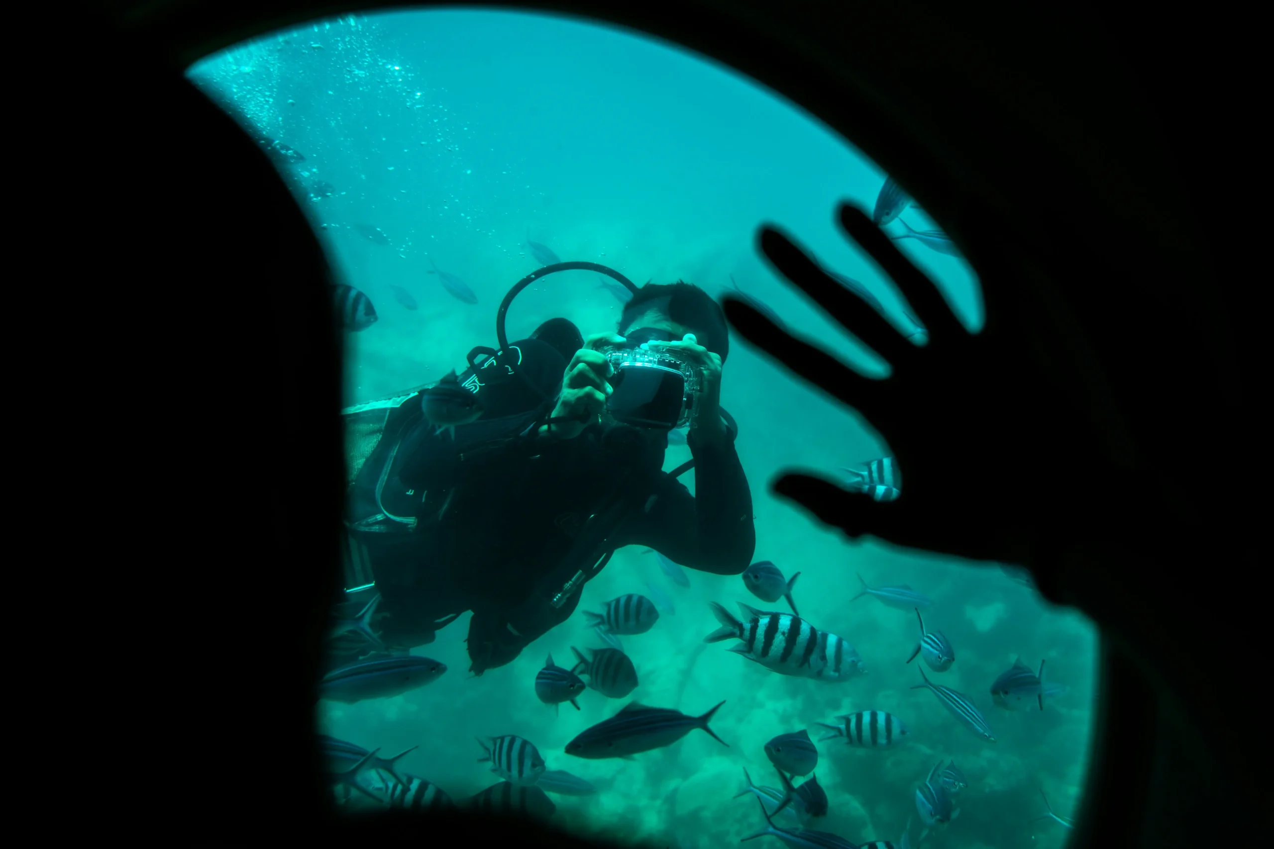 diver with camera looking through a window