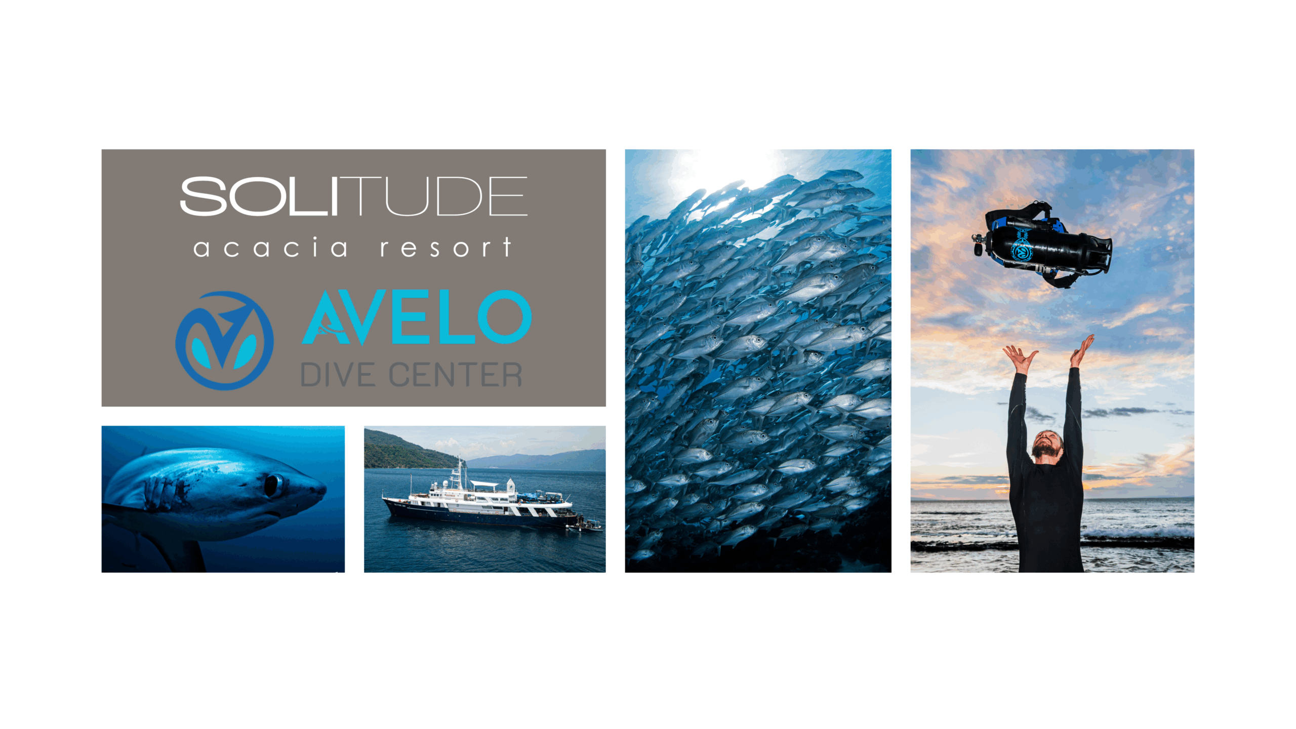 Avelo at Solitude Liveaboards and Resorts
