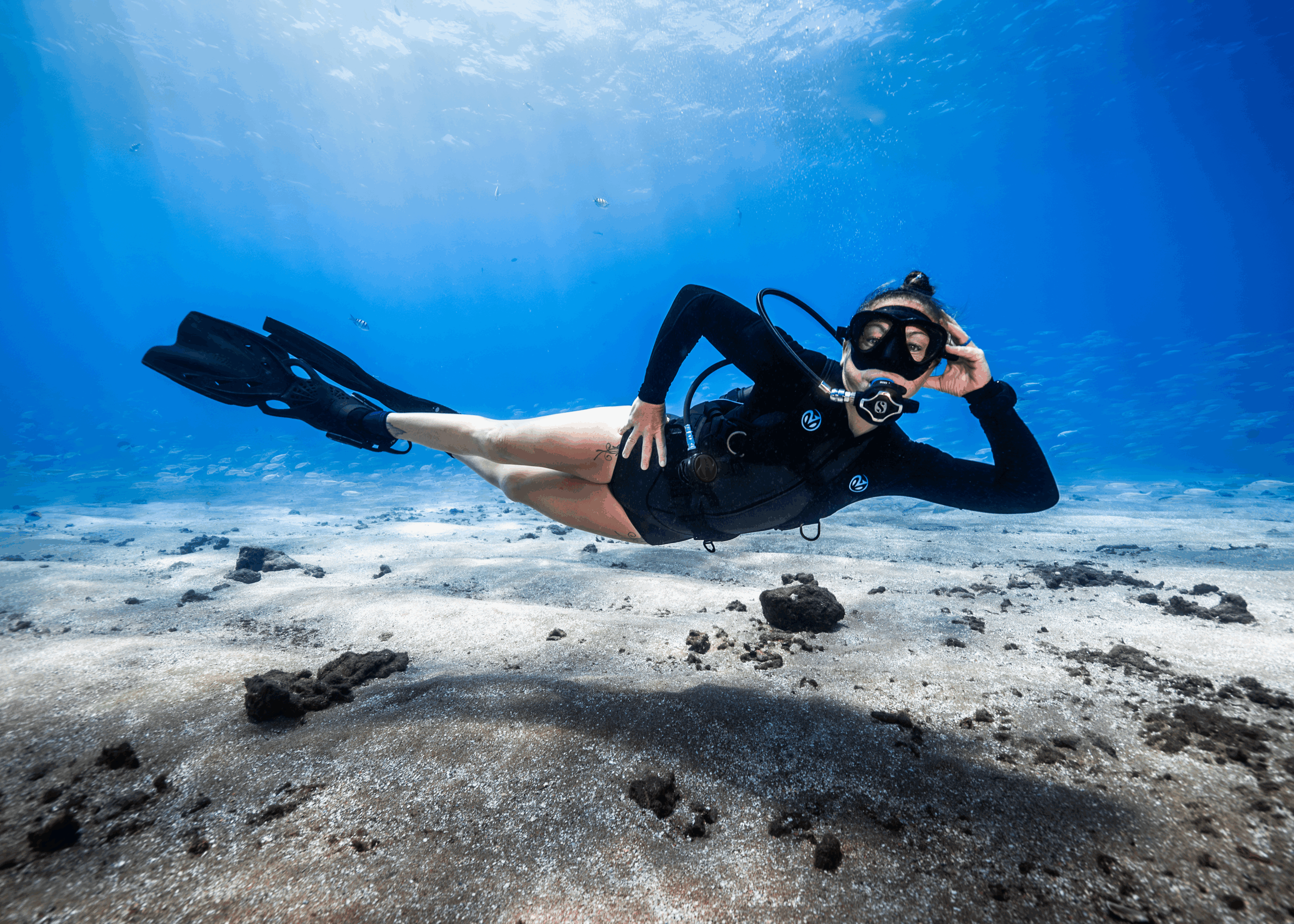 Avelo dive center banner