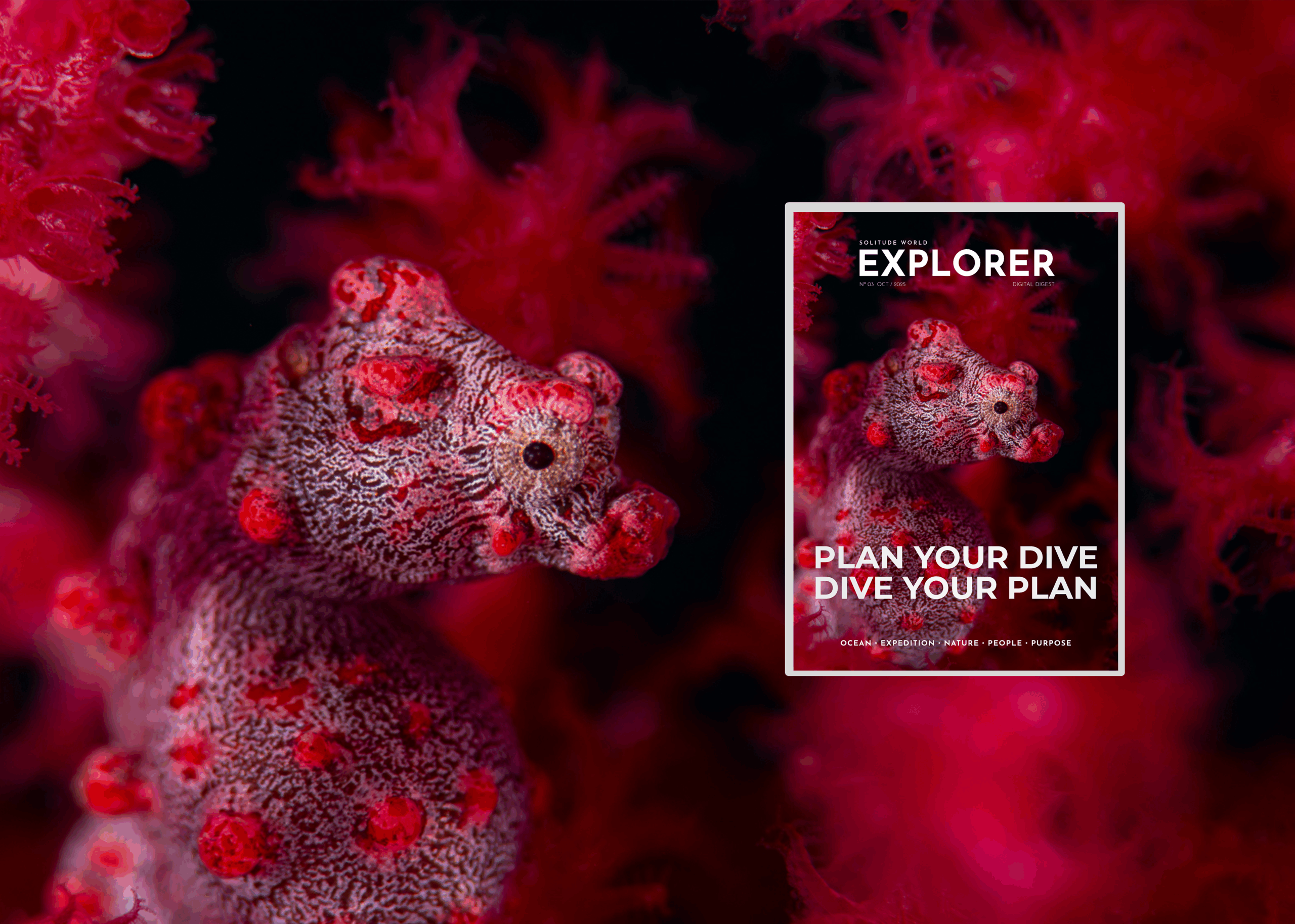 Plan Your Dive, know your Dive Issue 3 SW Explorer Digital Digest