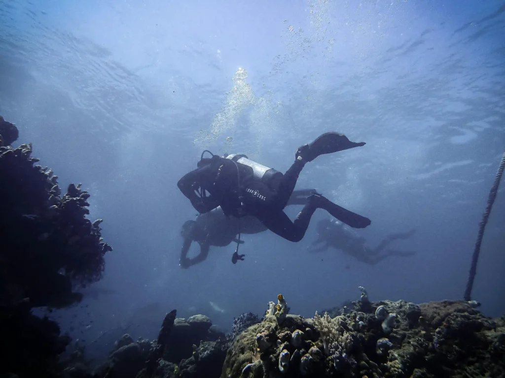 Underwater Divers Exploring Indonesian Coral Reef