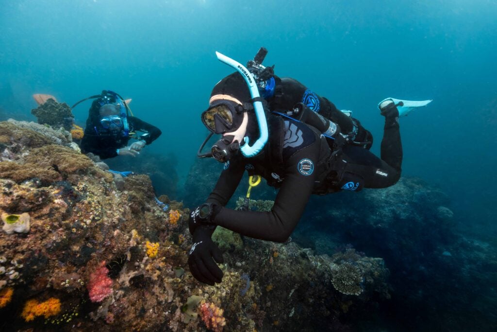 Dive the Avelo System on Solitude One and at Solitude Acacia Resort