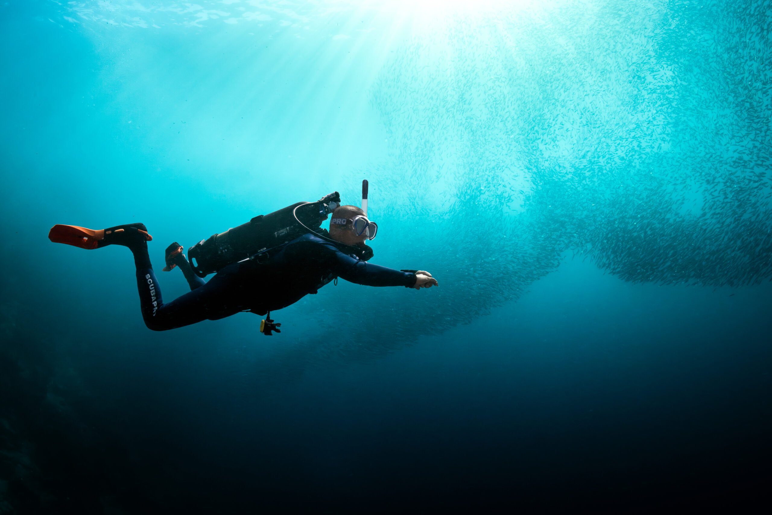 Dive the Avelo System on Solitude One and at Solitude Acacia Resort