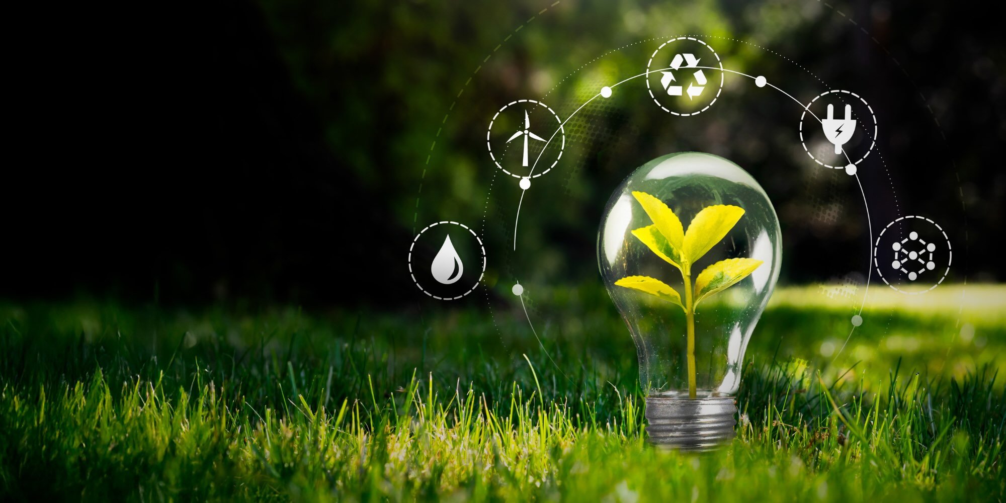 Sustainable Travel: The Silent Standard