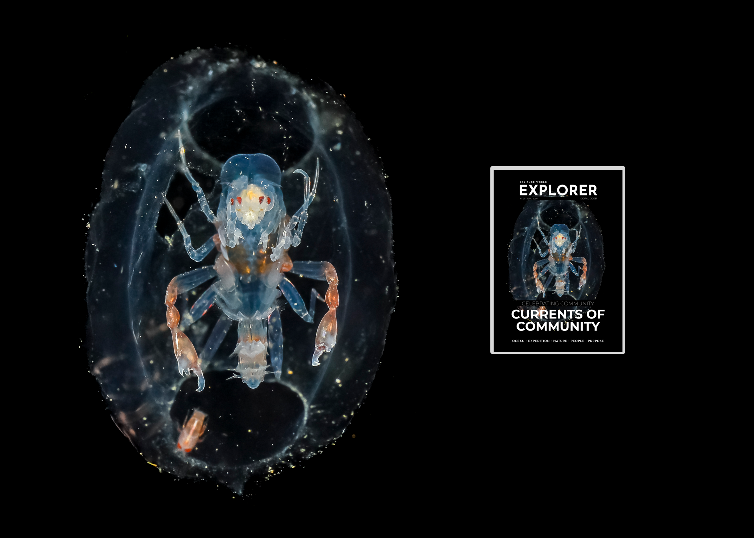 Issue 7 EXPLORER - Currents of Community