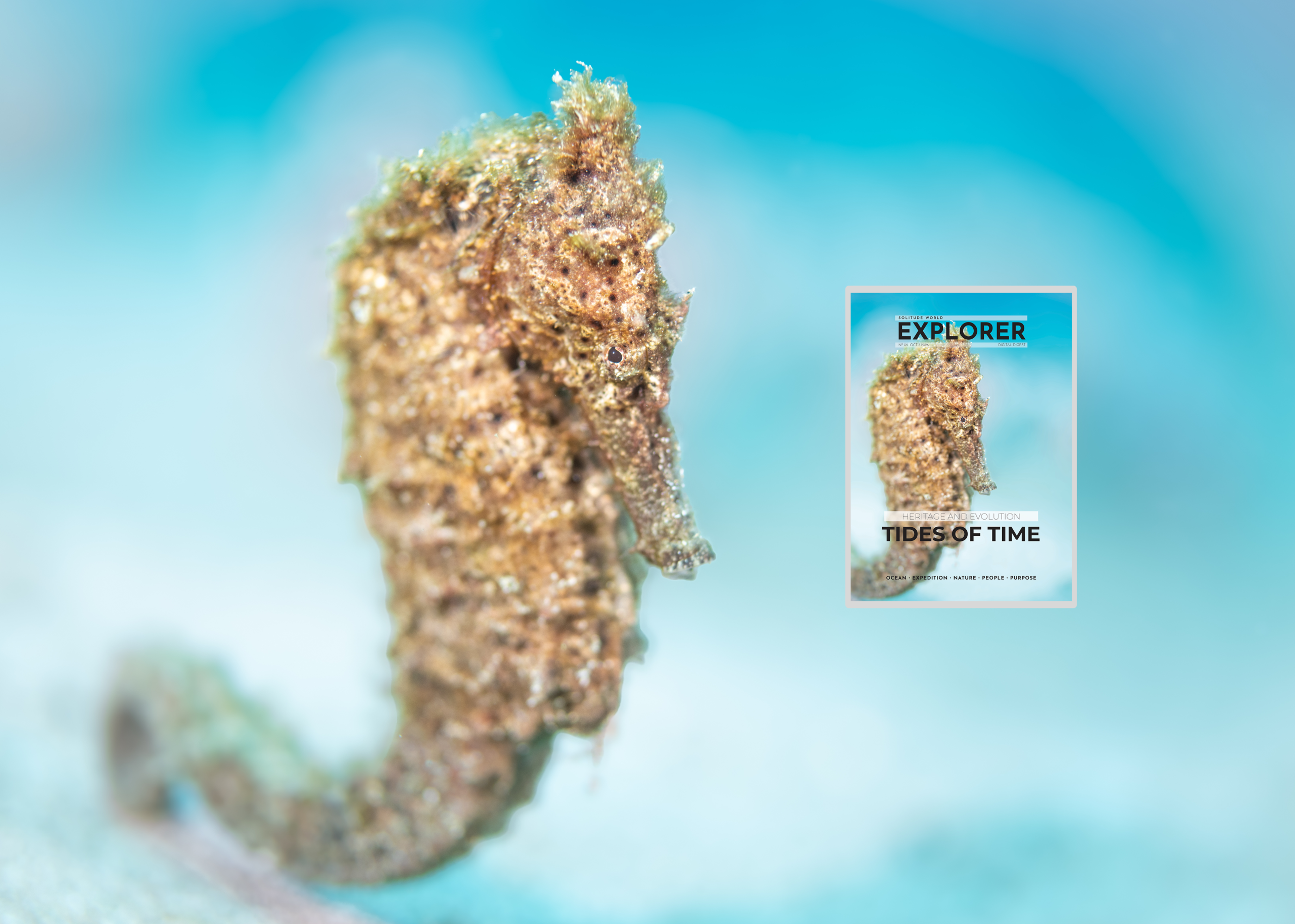 Seahorse against pale blue water beside the EXPLORER Issue 9 cover.